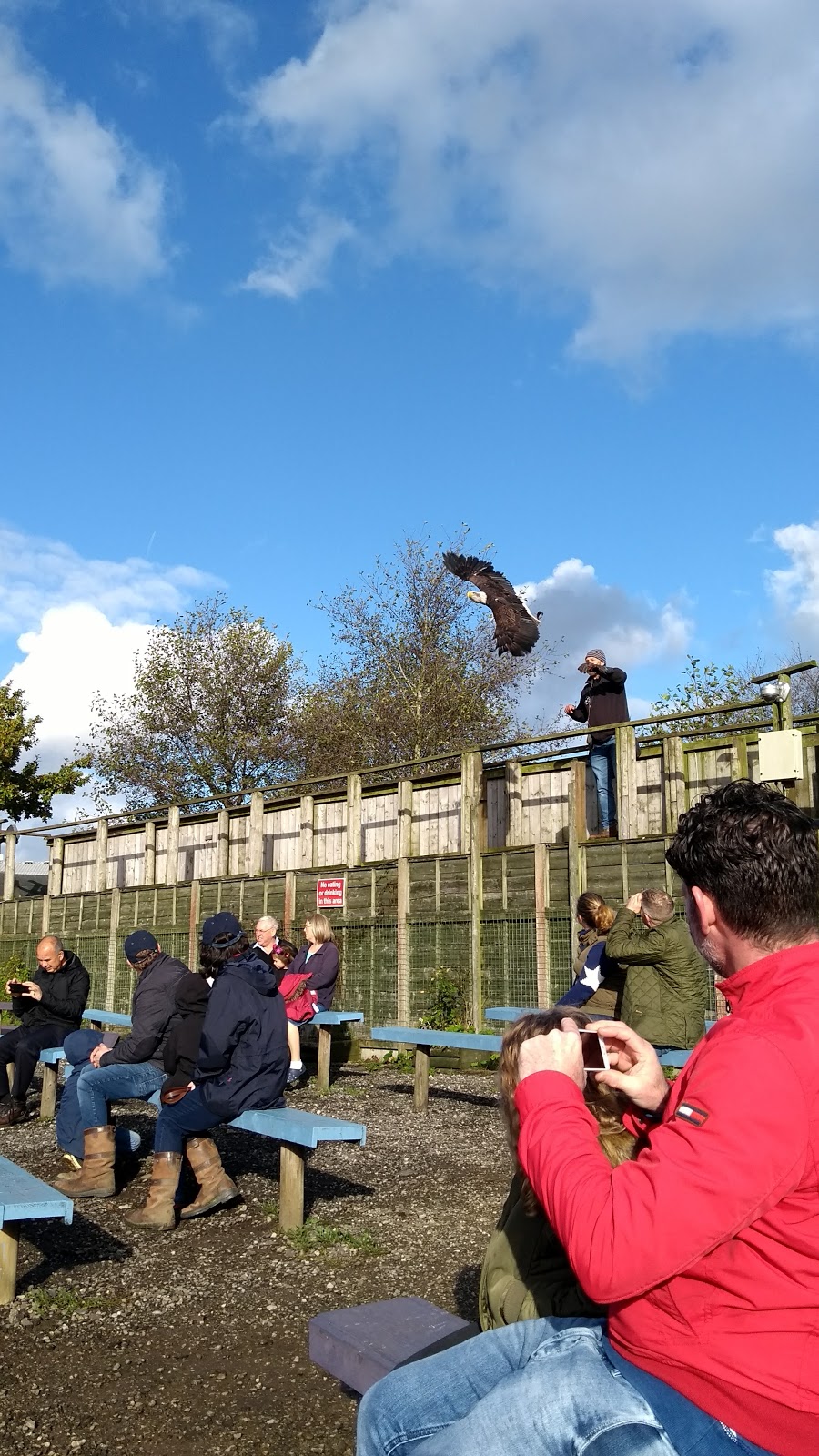 https://whatremovals.co.uk/wp-content/uploads/2022/02/Gauntlet Birds of Prey – Eagle & Vulture Park, Knutsford-169x300.jpeg